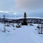 Pa Fjellet Naer Geilo Daire Hol (Buskerud)
