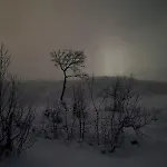 Pa Fjellet Naer Geilo Daire