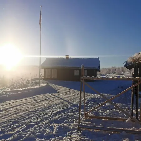 Pa Fjellet Naer Geilo Holo