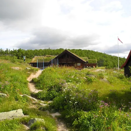 Pa Fjellet Naer Geilo