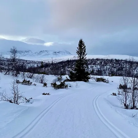 Pa Fjellet Naer Geilo Apartamento Holo