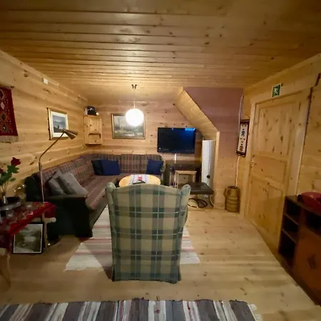 Pa Fjellet Naer Geilo Holo
