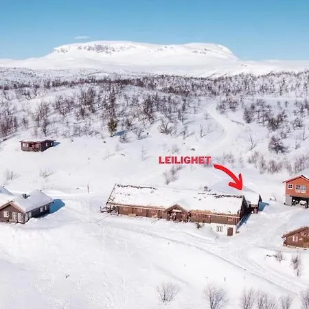 Pa Fjellet Naer Geilo * Holo