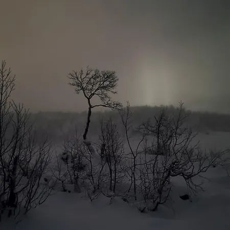 Pa Fjellet Naer Geilo Apartamento