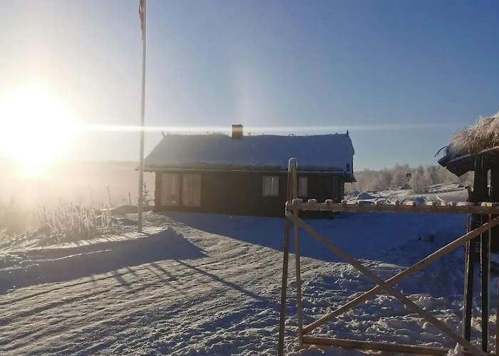 Pa Fjellet Naer Geilo Hol (Buskerud)