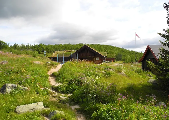 Pa Fjellet Naer Geilo