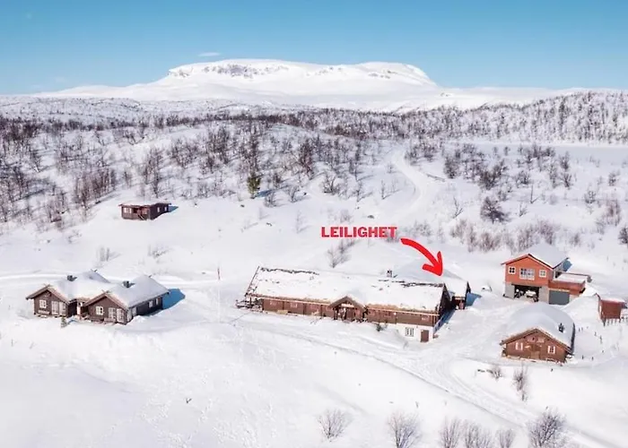 Pa Fjellet Naer Geilo * Hol (Buskerud)