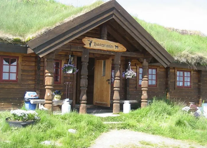 Pa Fjellet Naer Geilo Hol (Buskerud)